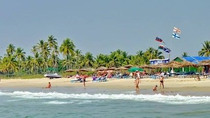 Majorda Beach soft golden sands and coconut groves in South Goa