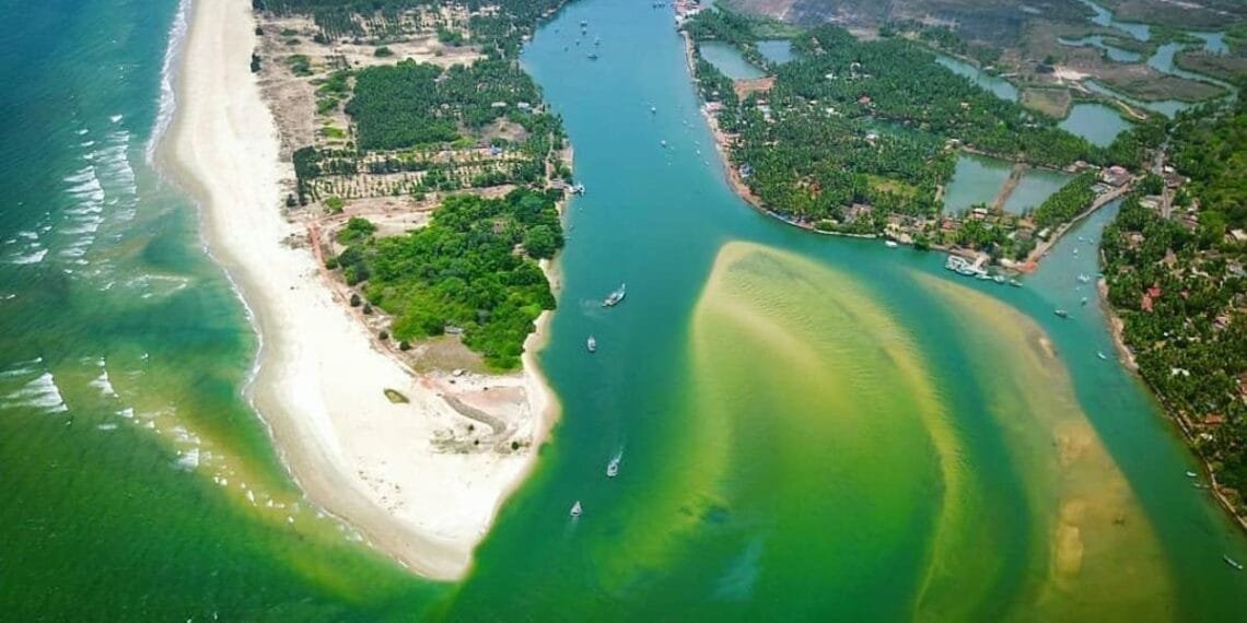 Scenic river backwaters and mangrove exploration in Goa