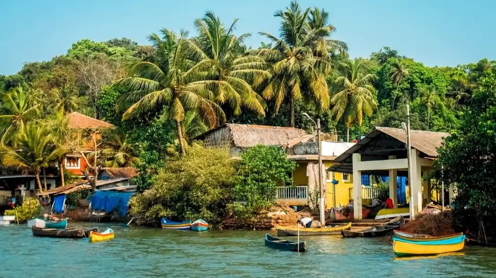 Traditional fishing villages and heritage views along Goan waterways