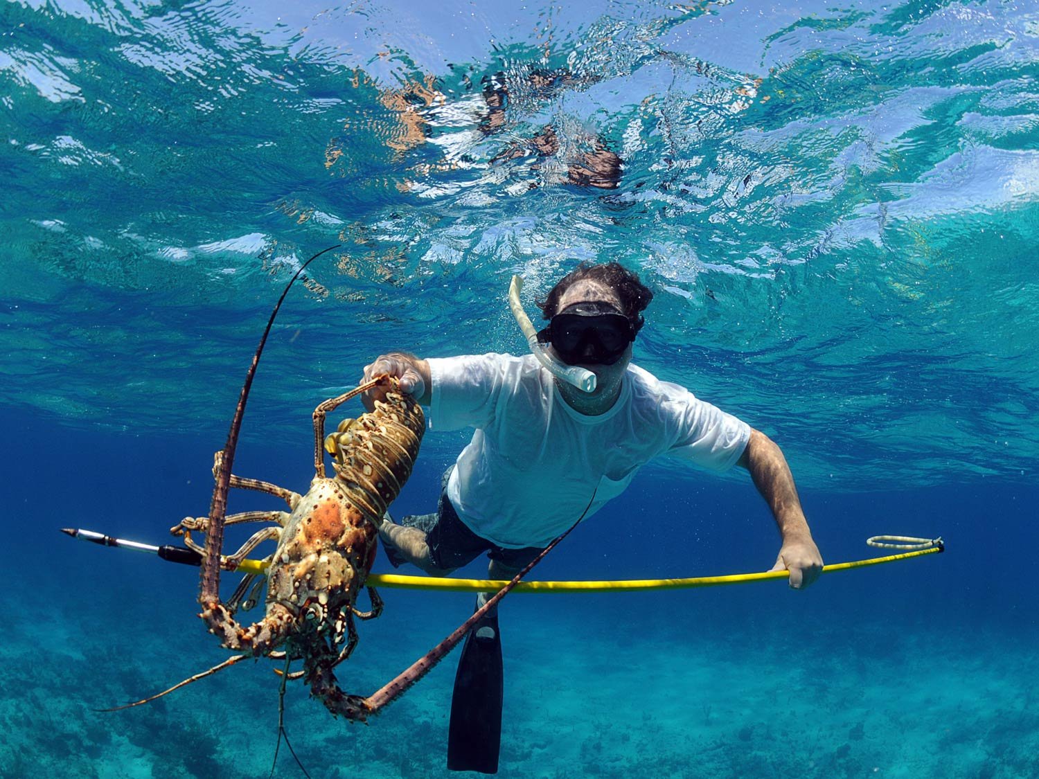 Deep sea fishing