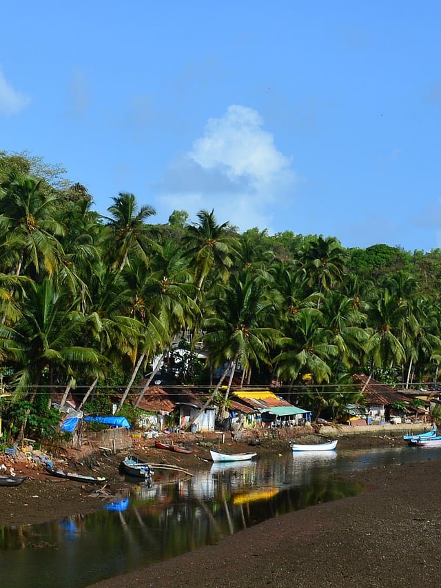 Betul Village and Sal River backwater landscape in South Goa